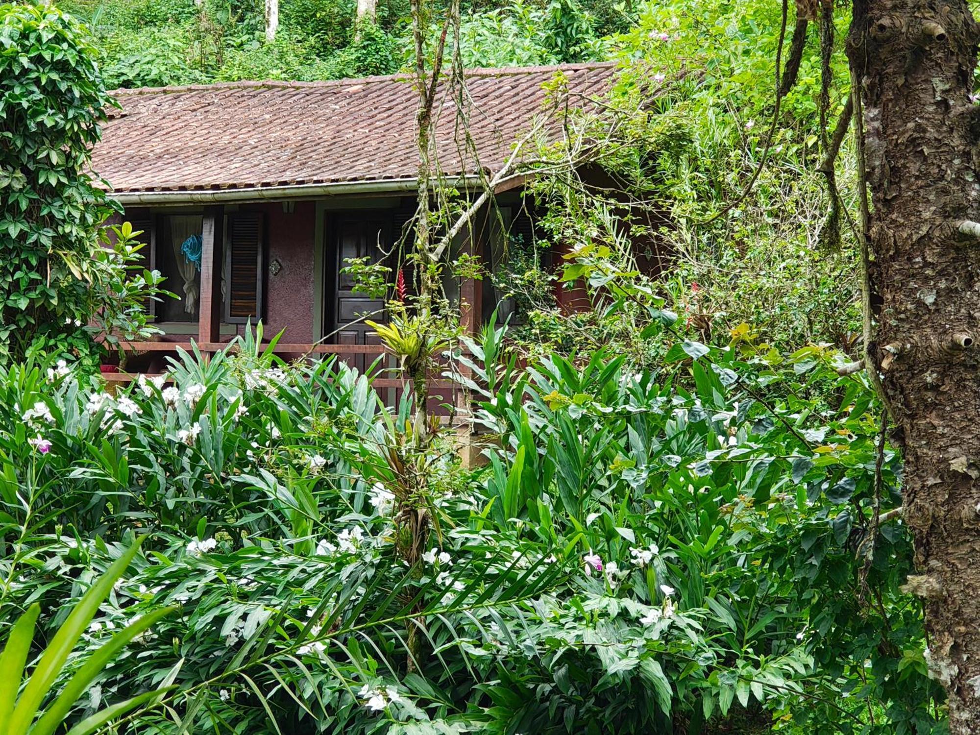 Romântica Serra Da Mata Penedo (Rio de Janeiro)